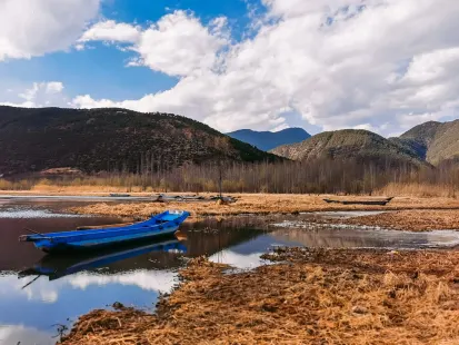 Bobby Casino Aplicación móvil